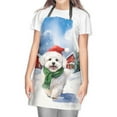 thumbnail image 2 of Hello Winter Bichon Frise Frosty Morning Walk Welcome Snowy Christmas Apron Bichons Dog Lovers Gifts Idea for Cooking Grilling Baking Painting Gardening - 02018, 2 of 5