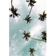 thumbnail image 2 of Allen, Kimberly 17x24 Gold Ornate Wood Framed with Double Matting Museum Art Print Titled - Palm Sky, 2 of 4