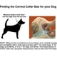 thumbnail image 4 of Collar para perros FloreceBien Classic Comfort Collar para perros acolchado de neopreno y nailon de alta calidad para perros de tamaño pequeño, 4 of 5