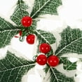 thumbnail image 3 of COSMOBETTY 10Ud Follaje Artificial De Hojas Para Adornos Navideños Resistente Para Colgar En Puerta Y Árbol, 3 of 6
