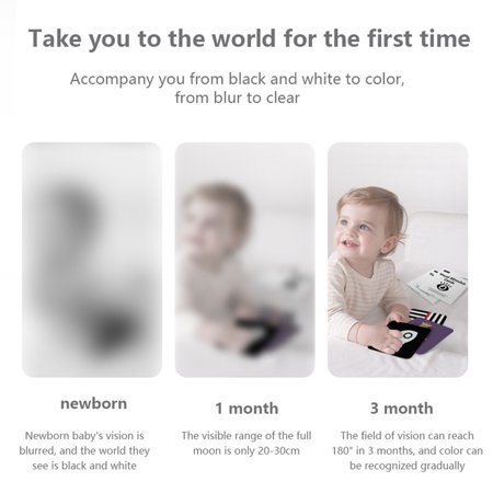 Onever Baby Toys Pocket Flashcards For 0 36 Months Educational Flash Cards For Toddlers Walmart Canada