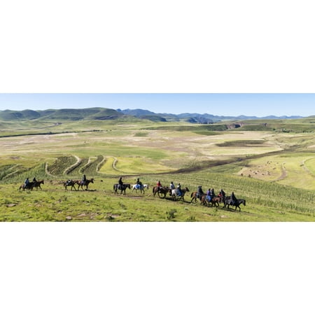 Group of horsemen riding across the fields Lesotho Highlands Semonkong Lesotho Canvas Art - Panoramic Images (27 x 9)