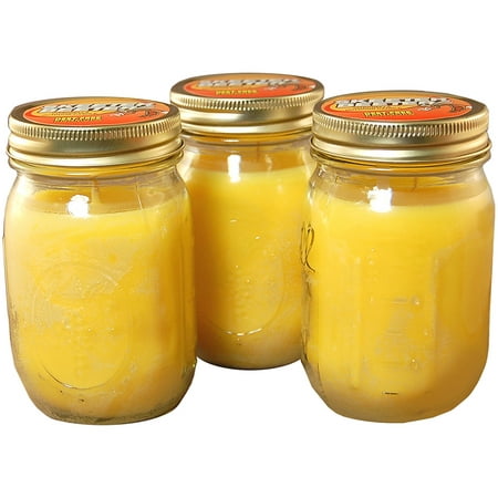 Citronella Scented Candles, 12 oz Mason Jar, Set of