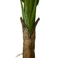 thumbnail image 7 of Single Stalk Banana 6' Artificial Plant, 7 of 7