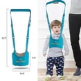 thumbnail image 5 of Adjustable Baby Walking Harness Toddler Harness Assistant Belt for Learning Walk Easy-to-Wear Walking Learning Helper for Boys Girls. (Sky Blue), 5 of 6