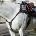 thumbnail image 5 of Equinavia Saga 5-point Breastplate, 5 of 6