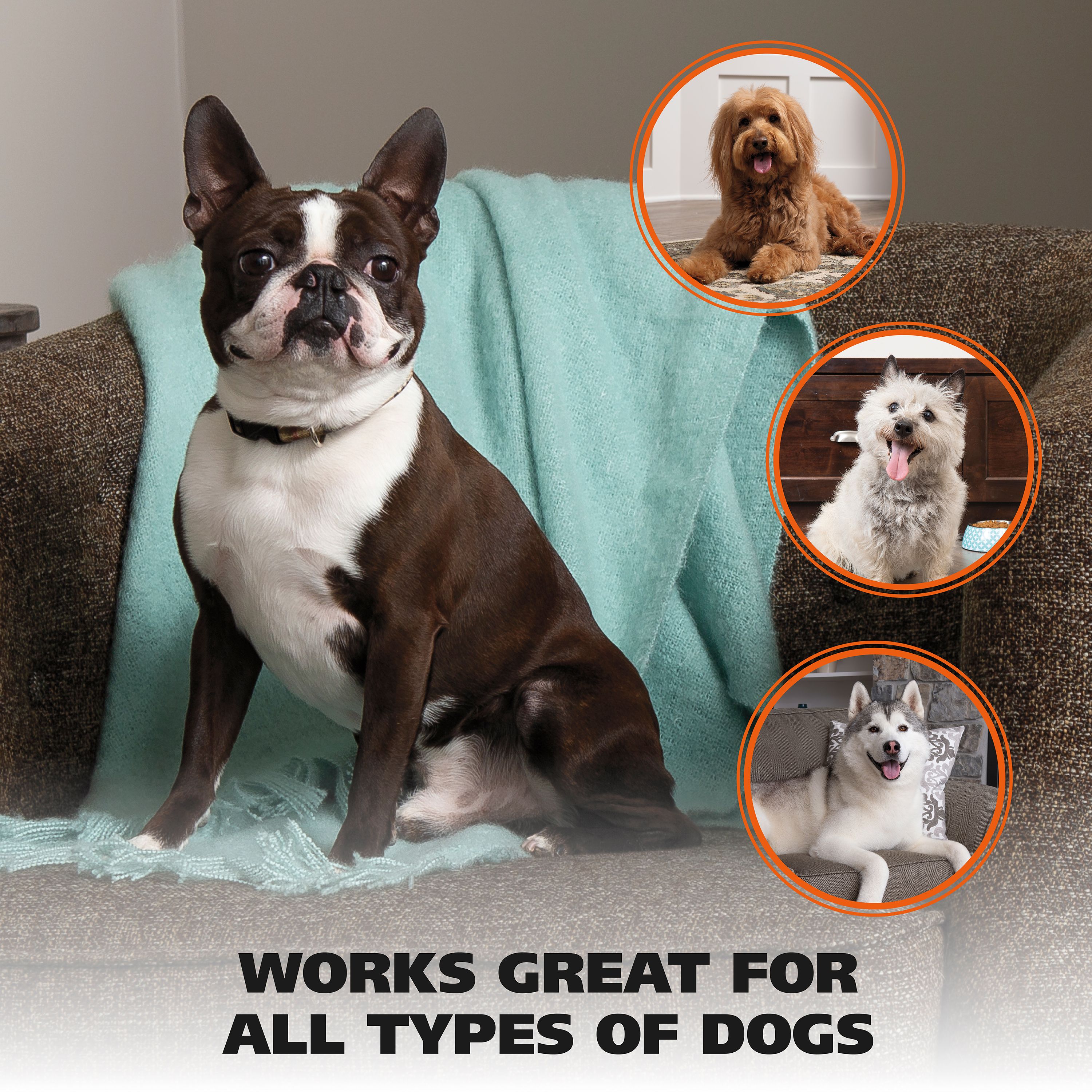 Wahl Pet Nail Clipper for Dogs and Cats photo 8