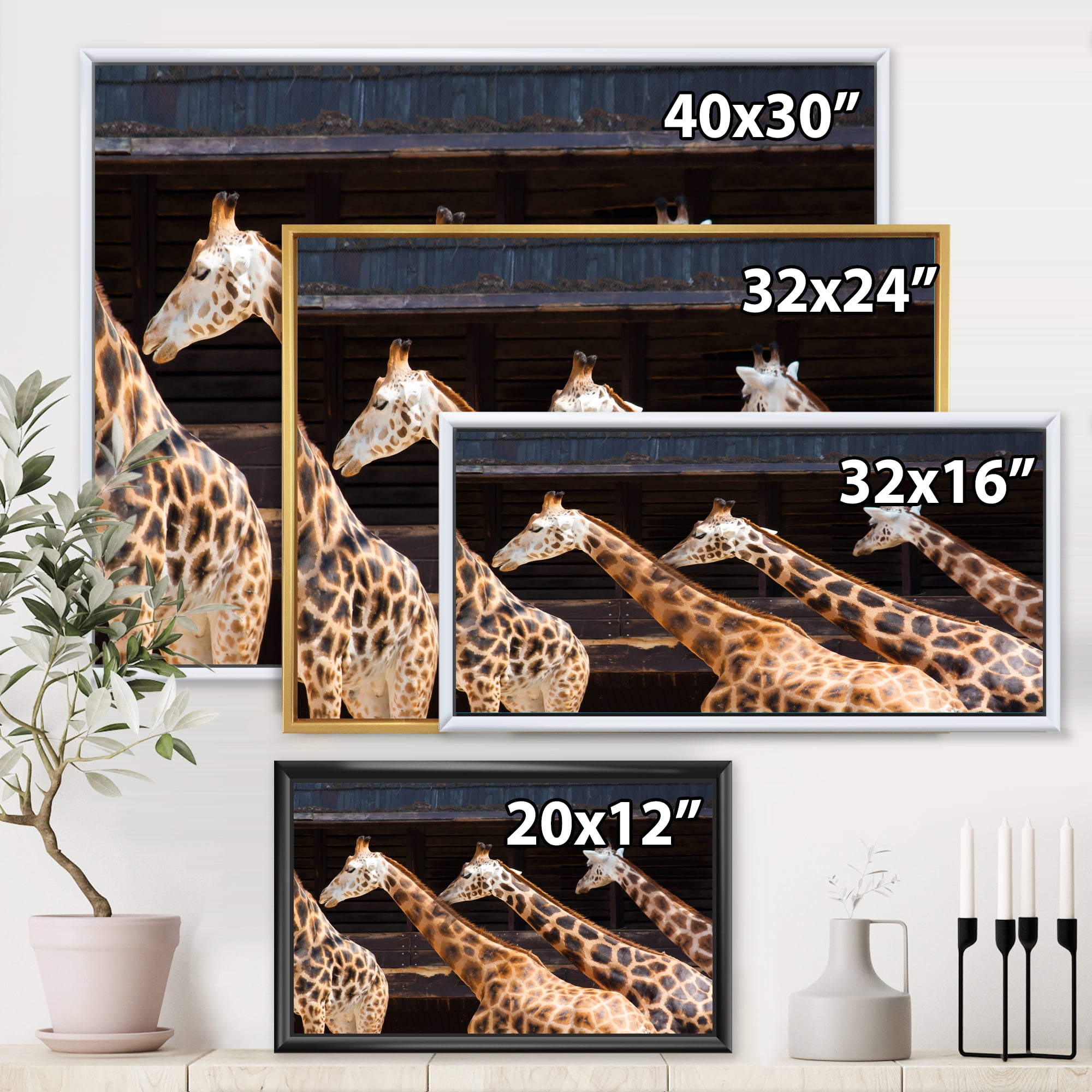 Designart 'Portrait Of Three Giraffes Running' Farmhouse Framed Canvas Wall Art Print