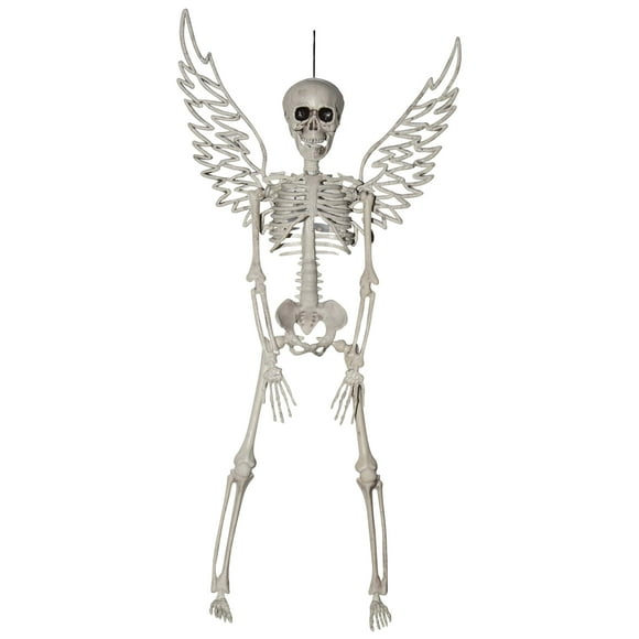Squelette d'Aile de Décoration Suspendue de 16 Po.