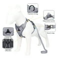 thumbnail image 5 of Hiroekza Dog Harness and Leash Set No Pull Soft Breathable Mesh Pet Harness Reflective Adjustable Puppy Vest for Small Medium Large Dogs Cats Gray, 5 of 6