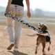 thumbnail image 4 of Correa De Perro Con Cadena De Hierro Falsa De 1,5 Metros Par, 4 of 8