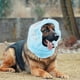 thumbnail image 4 of FOMIYES Snood Transpirable Para Orejas Largas De Perro Con Ajuste Cómodo Color Azul, 4 of 6