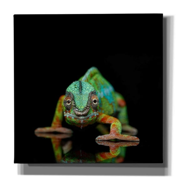Epic Graffiti 'Sneaky Cameleon' by Epic Portfolio Giclee Canvas Wall Art, 26"x26"