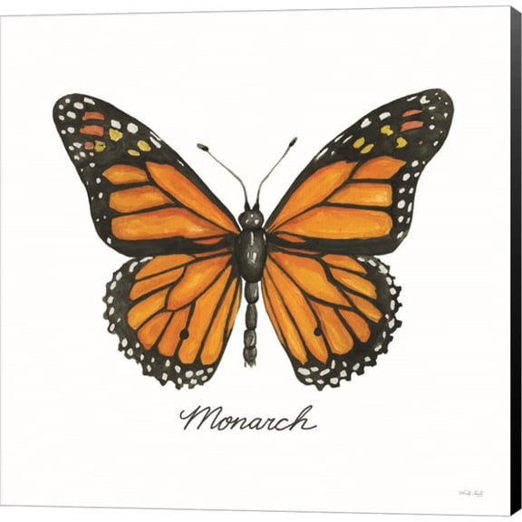 Great Art Now Monarch by Cindy Jacobs, Canvas Wall Art, 12W x 12H