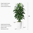 thumbnail image 7 of Artificial Dracaena  Indoor 5FT -  Tree with White Tall Planter - Faux Yucca Tall  Floor  in Pot - Artificial Trees for  Office  Room Decor Indoor, 7 of 7