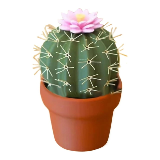 Binwennn Organisation de Cuisine et Rangement Tasse à Condiments en Forme de Cactus & Bureau avec Shakers pour Succulentes à Fleurs