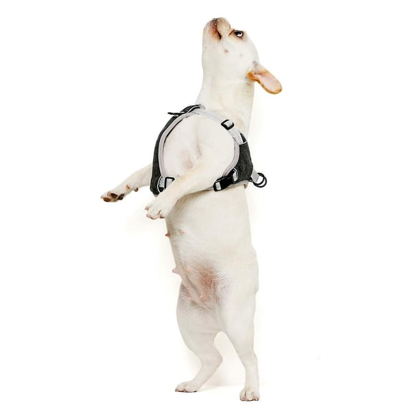 Arnés Perro Anti Tracción Talla Mediana Reflectante Ajustable Transpirable Gris M Banban