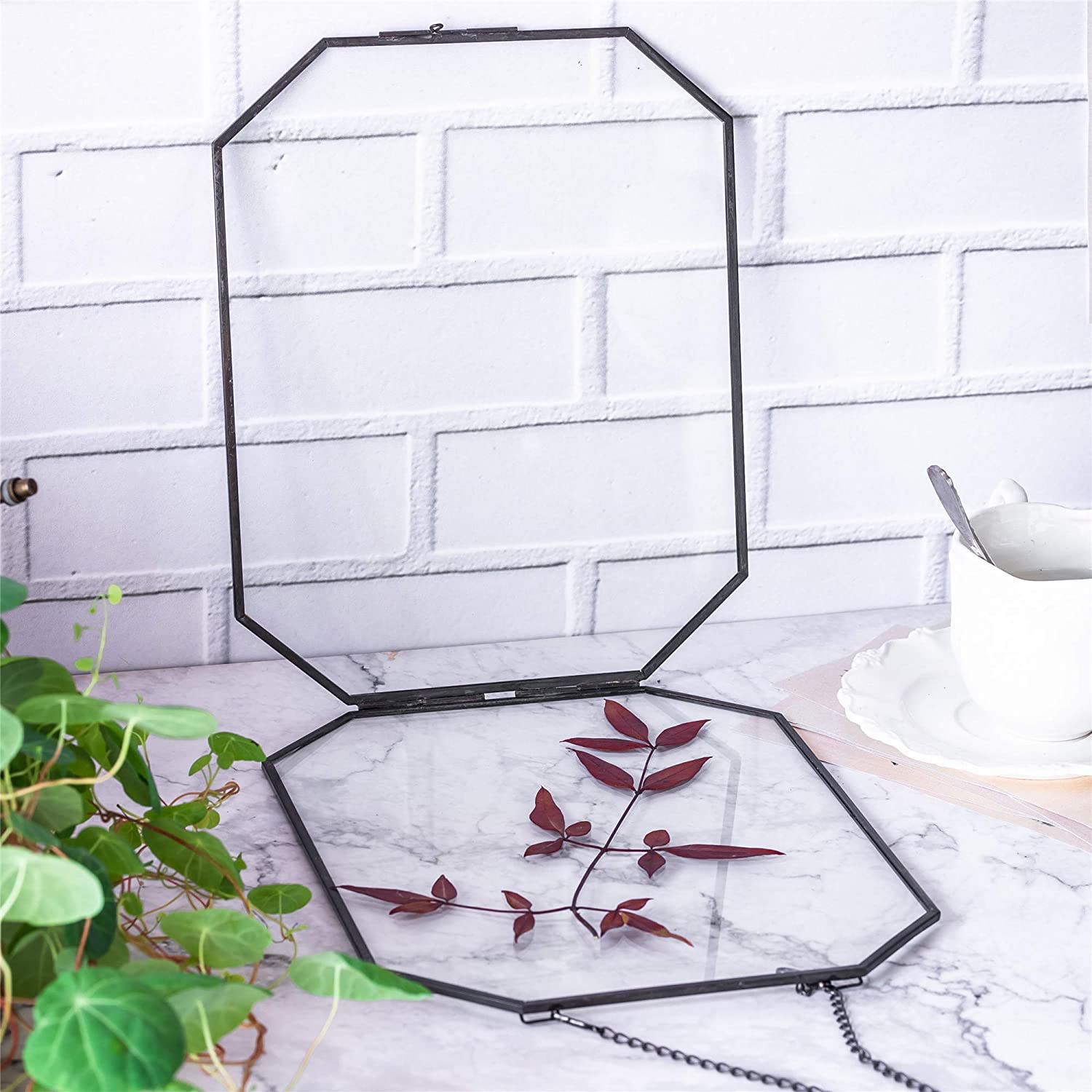 NCYP 8x10 inches Octagon Double Glass Floating Frame for Pressed Dried Flowers, Photo, Picture, Poster - Wall Hanging Herbarium, Home Decor, Black (Glass Frame Only)