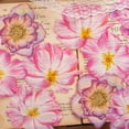 thumbnail image 2 of Juego de pegatinas de flores impermeables transparentes de gran tamaño, calcomanías de pared de vinilo transparentes florales decorativas para planificador, álbum de recortes, decoración de habit, 2 of 5