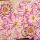 thumbnail image 2 of Juego de pegatinas de flores impermeables transparentes de gran tamaño, calcomanías de pared de vinilo transparentes florales decorativas para planificador, álbum de recortes, decoración de habit, 2 of 5