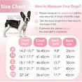 thumbnail image 2 of GASTROPOD Dog Coat, Waterproof Dog Jacket for Winter, Fullbody Dog Coats Snowsuit, Windproof Puppy Down Jacket Coat, Fleece Winter Vest for Dogs, Cold Weather Dog Coats for Small Dogs, 2 of 7