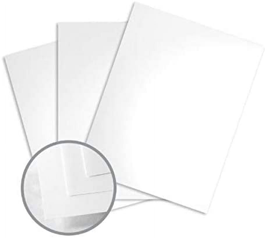Limited Papers (TM). Blazer Digital Gloss, 100 Pound (100lb) Text Paper, (148 Gsm) 12X18ch, 12 by 18ch White Color, 92 Brightness, 500 Sheets.