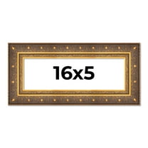16x5 Frame Vintage Gold Solid Wood Picture Frame | 2.5 Inch Moulding Width | Ornate Bronze Museo