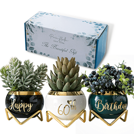 Perabella Happy 60th Birthday Gift for Women Cool Gifts for Grandma 3 Succulent Pots Home Décor