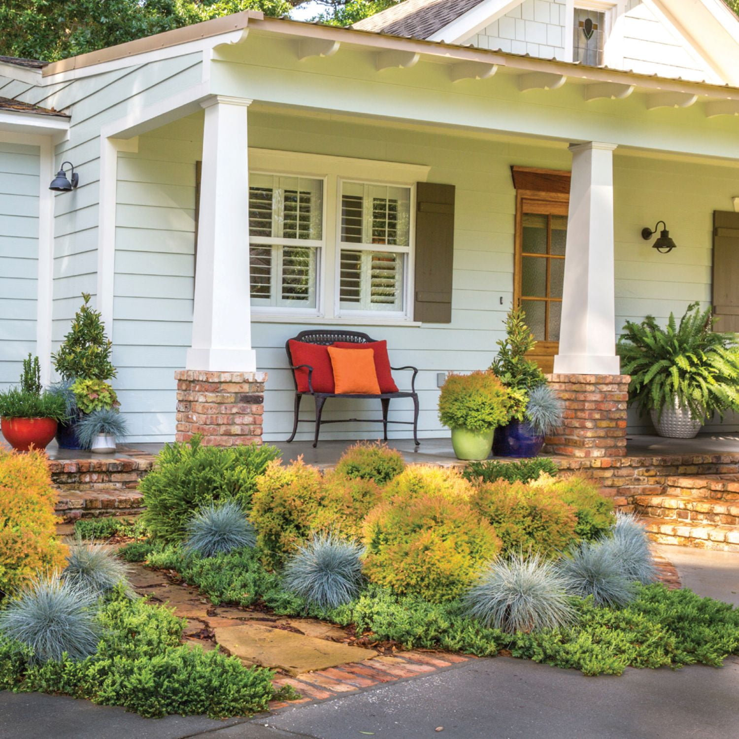 Southern Living Fire Chief Arborvitae Live Shrub in 2.5-Quart Grower Pot