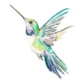 thumbnail image 2 of Pinto, Patricia 20x20 Gold Ornate Wood Framed with Double Matting Museum Art Print Titled - New Hummingbird, 2 of 4