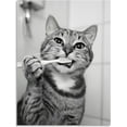 thumbnail image 2 of Aaheei Cat Bathroom Canvas Wall Art Funny Animal Bathroom Wall Art Cat Brushing Teeth Bathroom Painting Black and White Animal Bathroom Pictures for Bathroom Restroom Wall, 2 of 5
