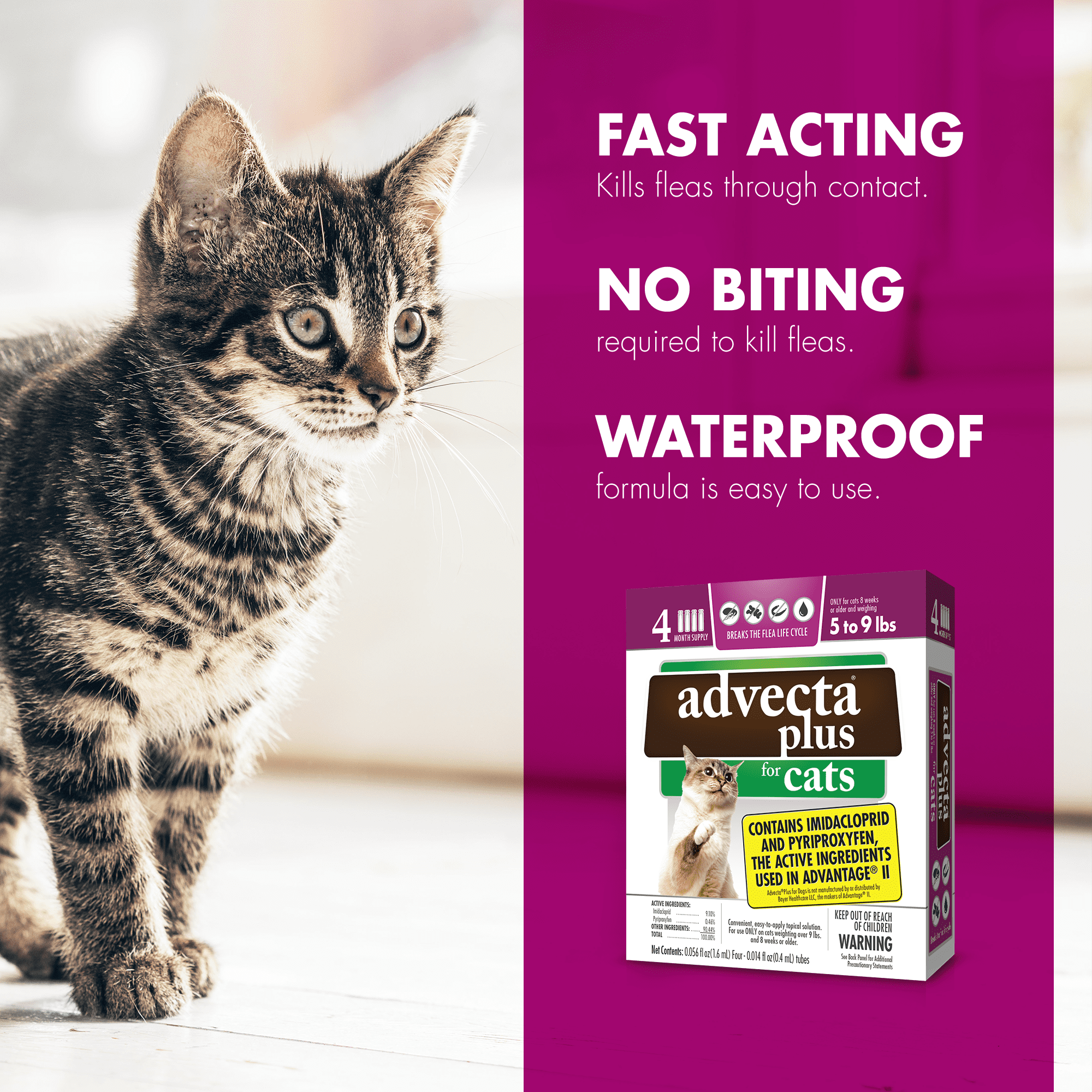 advecta 11 for cats