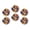 C0115, variant on Glass Refrigerator Magnet 6Pcs Magnetic Fridge Sticker,Decor for Kitchen,Whiteboard,Cabinet,Indian Woman With Colorful Face Paint