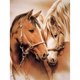 thumbnail image 1 of Kits de pintura de diamantes de dos caballos, taladro cuadrado completo, decoración de pared para el hogar, arte artesanal Sywqhk Decoración hogareña, 1 of 9
