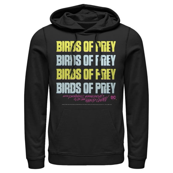 Men's Birds of Prey Logo Stack Pull Over Hoodie Black Small