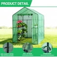 thumbnail image 2 of Instant Pop-Up Greenhouse, 56 x 56 x 77 Inch Indoor Outdoor Plant Gardening Green House, Roll-Up Zipper Doors and Side Windows, Walk-in Greenhouse with 3 Tiers 8 Shelves Green, 2 of 6