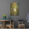 thumbnail image 4 of Luxe Metal Art 'Autumn Foliage Sunburst III' by Alan Majchrowicz,Metal Wall Art, 24"x36", 4 of 7