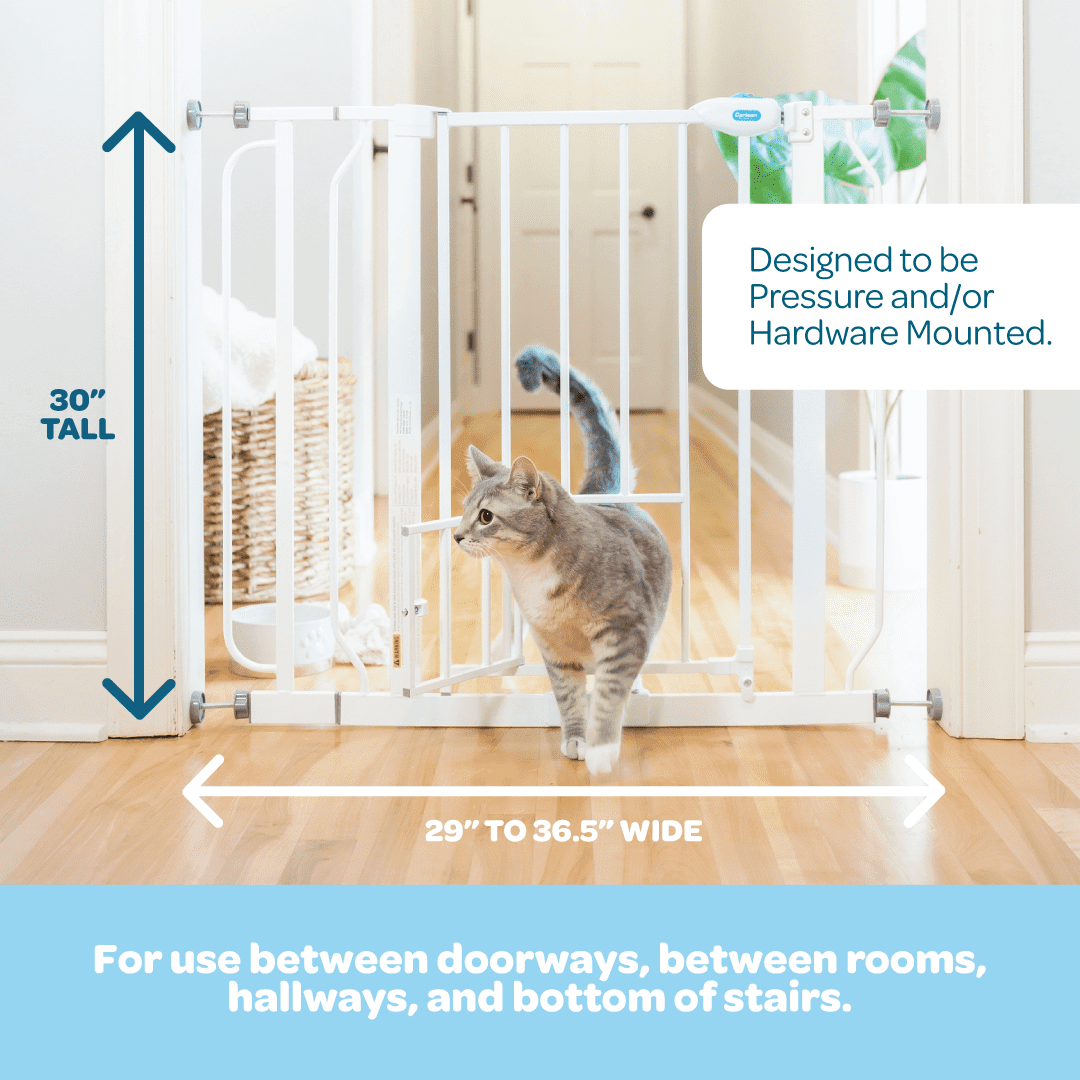 Carlson Extra Wide Pet Gate with Metal Frame and Small Pet Door, Adjustable for 29" to 36.5" Openings, Durable