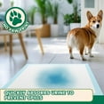 thumbnail image 5 of 7 Layer Dog Pads 30x28 Inch, 30 Count - Super Absorbent Dog Pee Pads Extra Large, Tear-Resistant Thick Disposable Training Pads for Dogs & Cats, 5 of 8