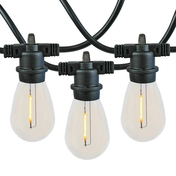 Novelty Lights Warm White LED Edison Lights with 24 In-Line S14 Filament Bulbs Black Wire 48 Feet