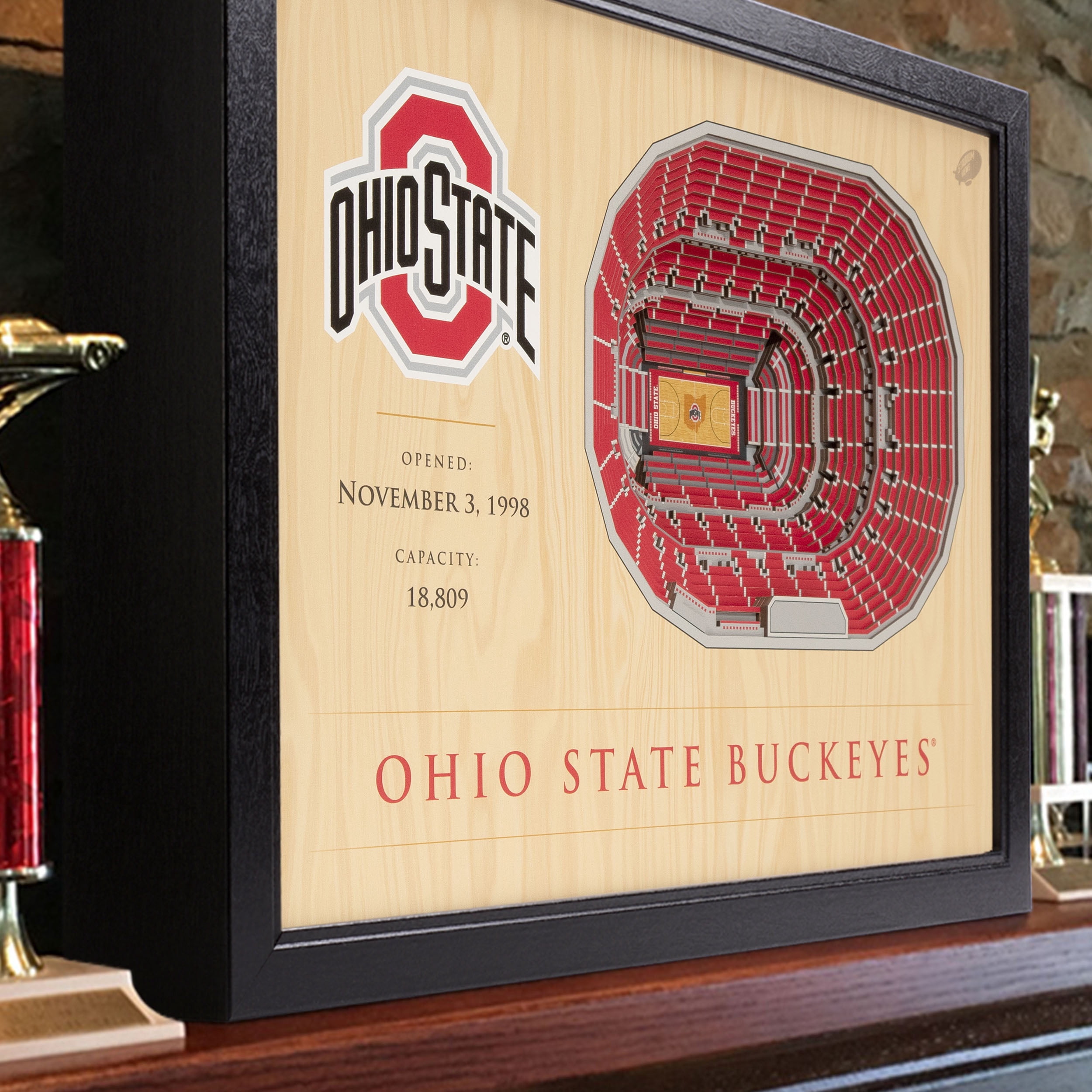 YouTheFan NCAA Ohio St Buckeyes BB 25-Layer Stadiumview Wall Art