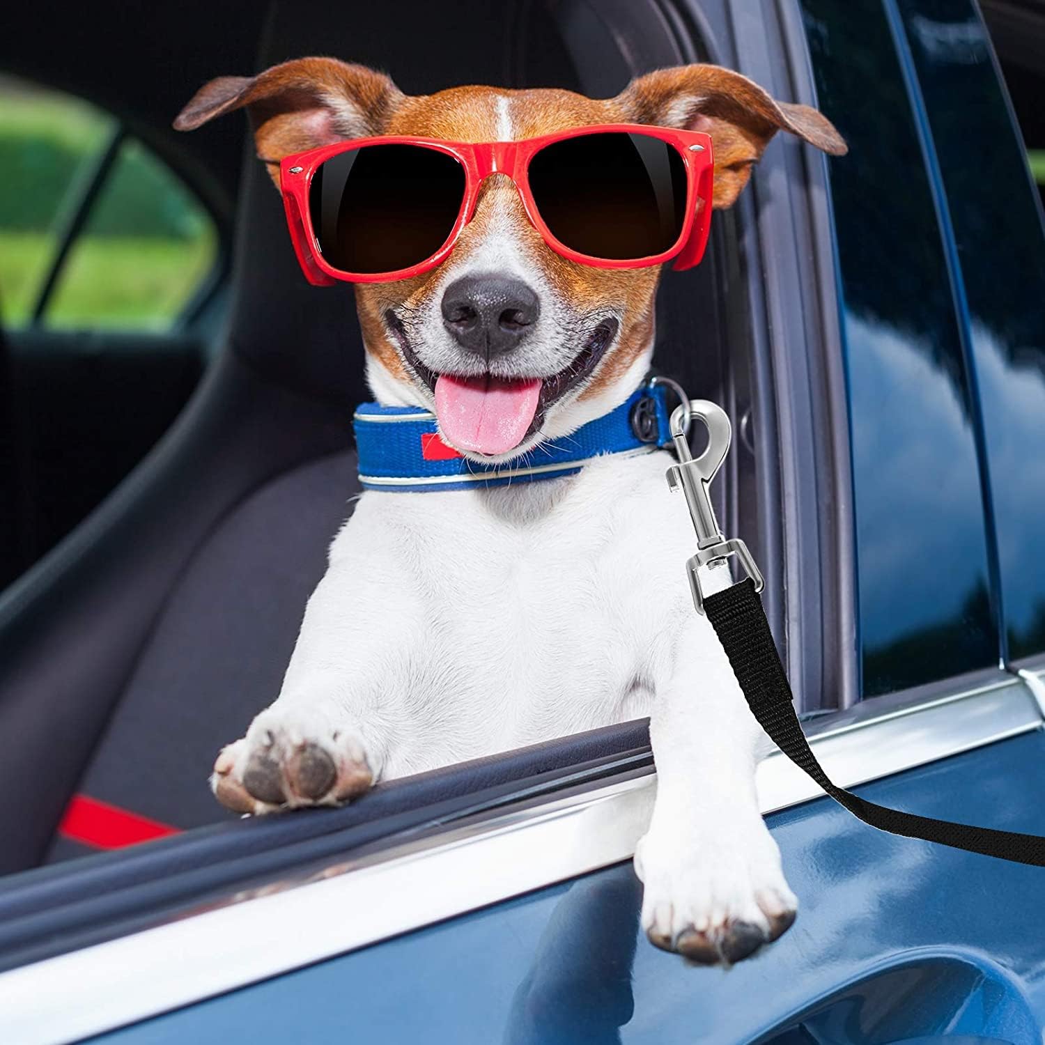 Dog Leash, 10m Long Hands-Free Dog Training Leash, Long and Durable Leash for Training, Recall, Play, Safety and Camping (Black)