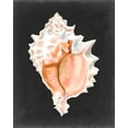 thumbnail image 2 of Willett, Michael 15x18 Gold Ornate Wood Framed with Double Matting Museum Art Print Titled - Graphic Pink Murex, 2 of 4