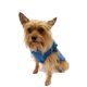 thumbnail image 2 of Impermeable Raincoat Pet Pals Turquesa Perro Talla 1 RAINTUR1, 2 of 4