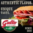 Gallo Salame Deli Thin Sliced Light Italian Dry Salami Lunch Meat, 15.2
