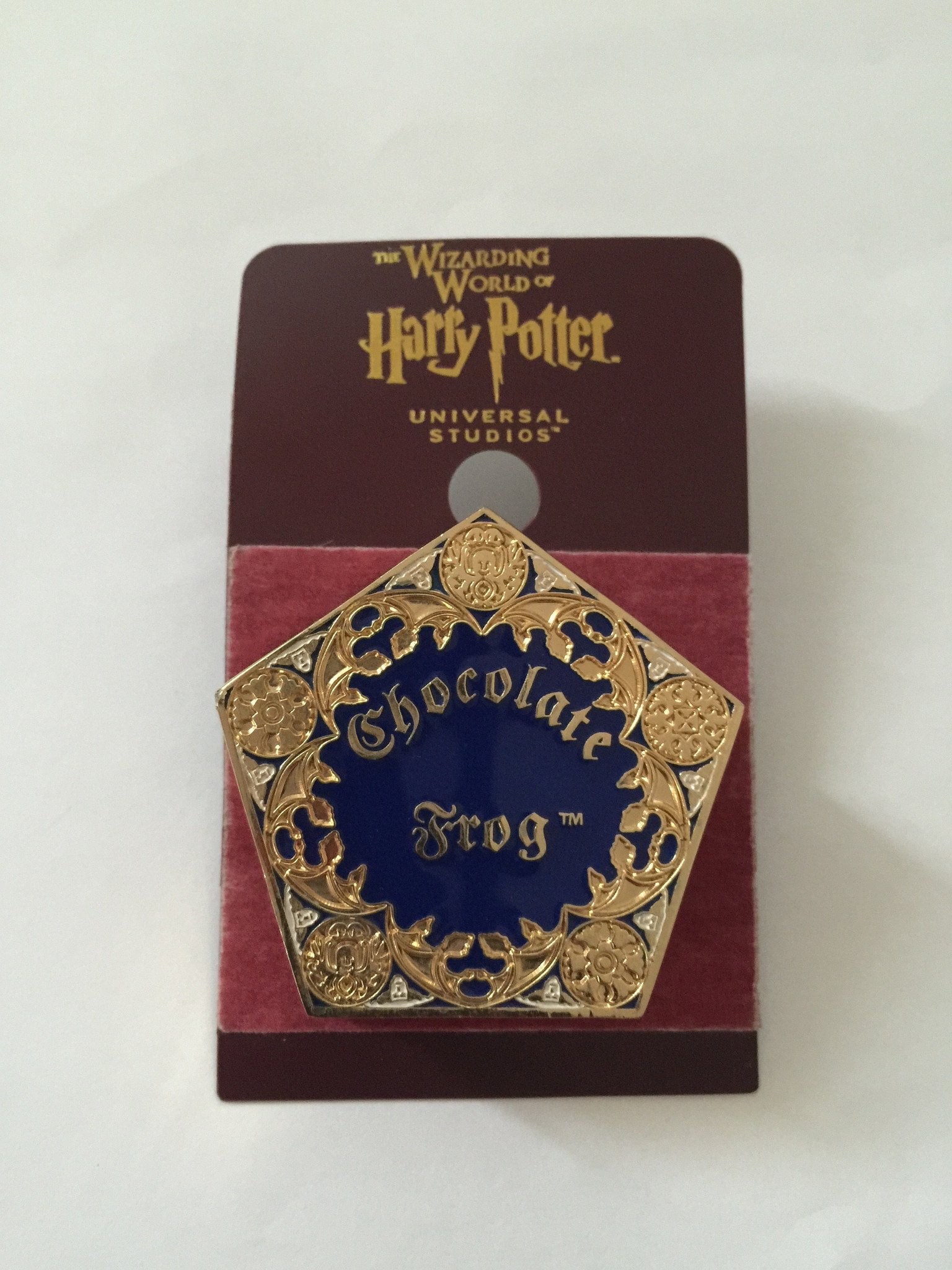 Universal Studios Wizarding World of Harry Potter Harry Pin New with Card