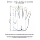 thumbnail image 3 of Guantes De Portero Buffon Spider Básico Infantil Para Niño, 3 of 3