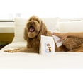 thumbnail image 5 of Palmer's Pets Refreshing Wipe for Dogs with Coconut Oil and Vitamin E, 100ct, 5 of 8