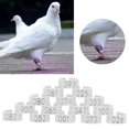 thumbnail image 3 of 001-100 Numbered Bird Foot Ring Reusable Pigeons Identify Clip Poultry AccessoryWhite, 3 of 7
