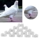 thumbnail image 4 of Pie De Paloma, Clip De Pie De Pájaro De Efecto Para Jardinero Para Palomas Para El Manejo De Aves, 4 of 8